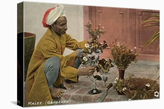 Malee, North African Gardener with Bouquets-null-Stretched Canvas