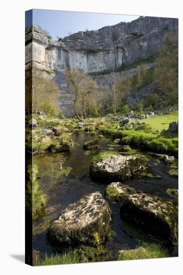 Malham Cove, Yorkshire Dales-Bob Gibbons-Premier Image Canvas