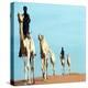 Mali Tribesman Sits on Camel, 1987-null-Premier Image Canvas