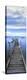 Mallacoota Vert-Wayne Bradbury-Premier Image Canvas