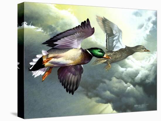 Mallards in Flight-Spencer Williams-Premier Image Canvas