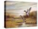 Mallards-Ruane Manning-Stretched Canvas