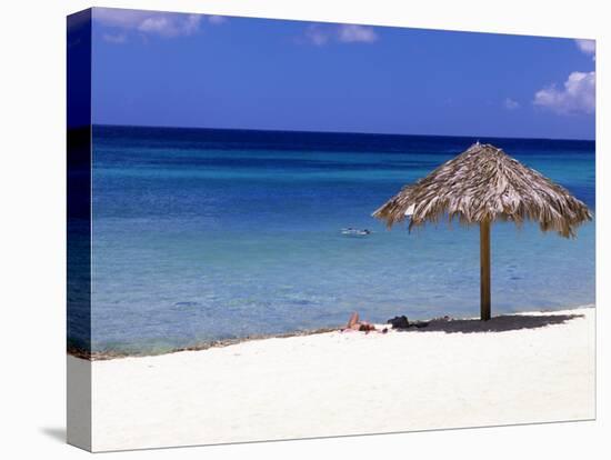 Malmok Beach, Aruba, Netherlands Antilles-Michael DeFreitas-Premier Image Canvas