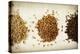 Malt Varieties-Jessica Rogers-Premier Image Canvas