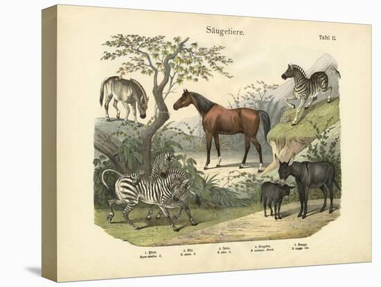 Mammals, C.1860-null-Premier Image Canvas