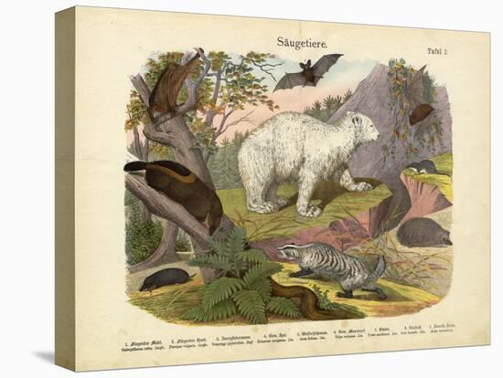 Mammals, C.1860-null-Premier Image Canvas