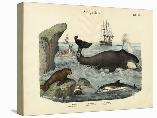 Mammals, C.1860-null-Premier Image Canvas