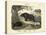 Mammals, C.1860-null-Premier Image Canvas