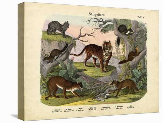 Mammals, C.1860-null-Premier Image Canvas