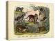 Mammals, C.1860-null-Premier Image Canvas