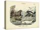 Mammals, C.1860-null-Premier Image Canvas