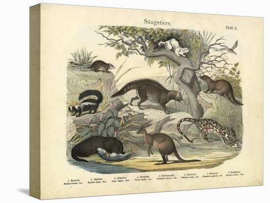 Mammals, C.1860-null-Premier Image Canvas