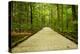 Mammoth Cave, Kentucky - Trail-Lantern Press-Stretched Canvas