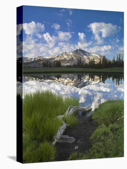 Mammoth Peak reflected in seasonal pool, Yosemite NP, California-Tim Fitzharris-Stretched Canvas