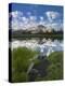 Mammoth Peak reflected in seasonal pool, Yosemite NP, California-Tim Fitzharris-Stretched Canvas