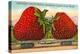 Mammoth Strawberry on Traincar, Oxnard, California-null-Stretched Canvas