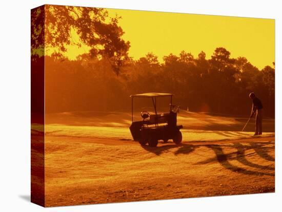Man and Golf Cart Silhouetted at Sunset-Bill Bachmann-Premier Image Canvas