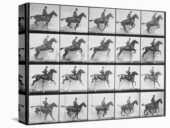 Man and Horse Jumping a Fence, Plate 640 from Animal Locomotion, 1887-Eadweard Muybridge-Premier Image Canvas