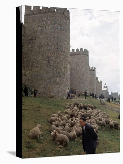 Man and sheep Surrounding Avila, Rebuilt by Alfonso VI in 1090 Ad, 9 Gate Entrance to the City-Eliot Elisofon-Premier Image Canvas