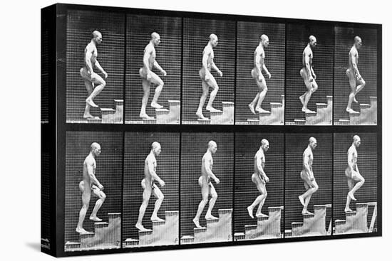 Man Ascending Stairs, from 'Animal Locomotion', 1887 (B/W Photo)-Eadweard Muybridge-Premier Image Canvas