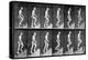 Man Ascending Stairs, from 'Animal Locomotion', 1887 (B/W Photo)-Eadweard Muybridge-Premier Image Canvas