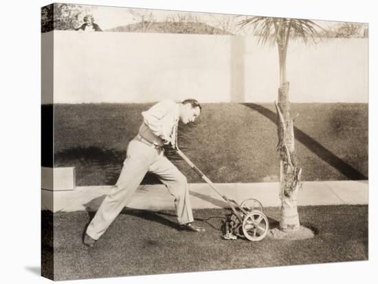 Man Attacking Palm Tree with Lawn Mower-null-Stretched Canvas