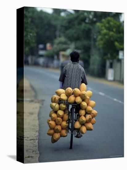 Man Carrying Coconuts on the Back of His Bicycle, Sri Lanka, Asia-Yadid Levy-Premier Image Canvas