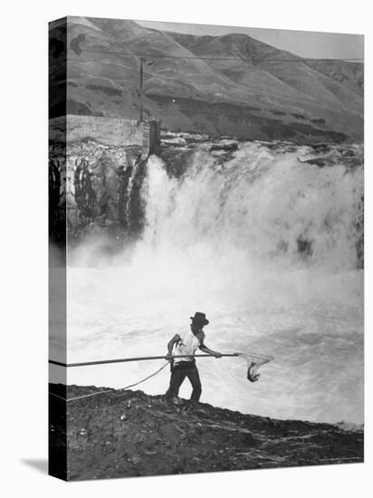 Man Fishing For Salmon in the Columbia River-Peter Stackpole-Premier Image Canvas