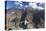 Man hiking in Tiger Leaping Gorge, UNESCO World Heritage Site, with Jade Dragon Snow Mountain (Yulo-Ian Trower-Premier Image Canvas