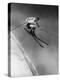 Man in a Vest in Mid-Air as He Skis Down a Steep Mountain-null-Premier Image Canvas