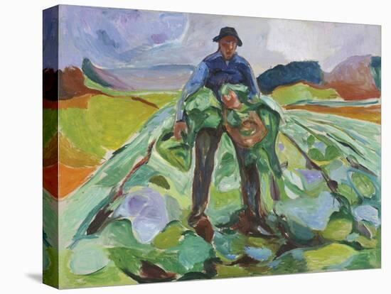 Man In The Cabbage Field-Edvard Munch-Stretched Canvas