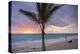 Man Jogging at Sunrise, Bavaro, Higuey, Punta Cana, Dominican Republic-Lisa S. Engelbrecht-Premier Image Canvas