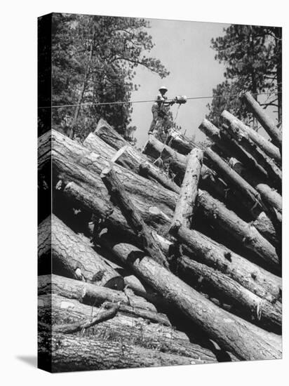 Man Lifting Logs Out of a Lumber Pile-J^ R^ Eyerman-Premier Image Canvas