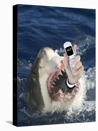 Man Messaging for Help from Shark's Mouth-DLILLC-Premier Image Canvas