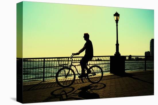 Man on a Bicycle, Battery Park, New York City-Sabine Jacobs-Premier Image Canvas