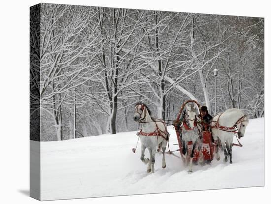 Man Rides a Sleigh Carrying Tourists in Park on a Bank of Moskva River at Outskirts of Moscow-null-Premier Image Canvas