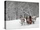 Man Rides a Sleigh Carrying Tourists in Park on a Bank of Moskva River at Outskirts of Moscow-null-Premier Image Canvas