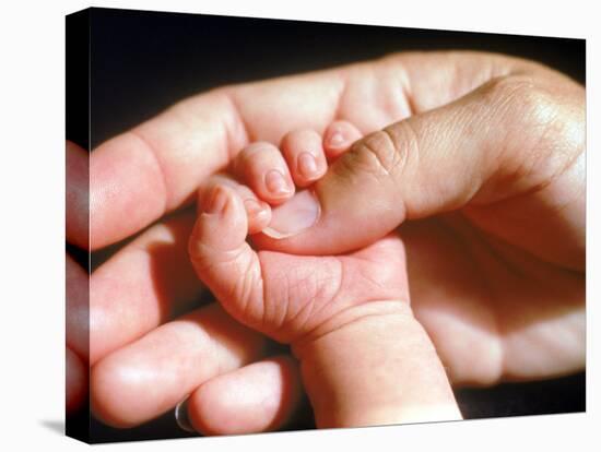 Man's Hand Holding Baby's Hand-Mitch Diamond-Premier Image Canvas