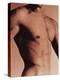 Man's Torso-Cristina-Premier Image Canvas