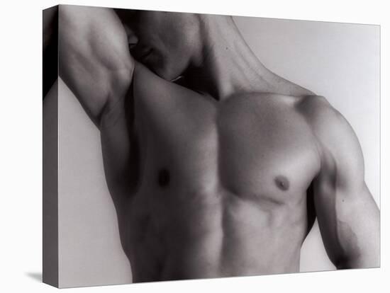 Man's Upper Body-Cristina-Premier Image Canvas