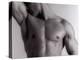 Man's Upper Body-Cristina-Premier Image Canvas