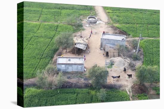 Man Sitting on House Roof in Tiny Agricultural Hamlet Amidst Fields of Vegetables, Rajasthan, India-Annie Owen-Premier Image Canvas