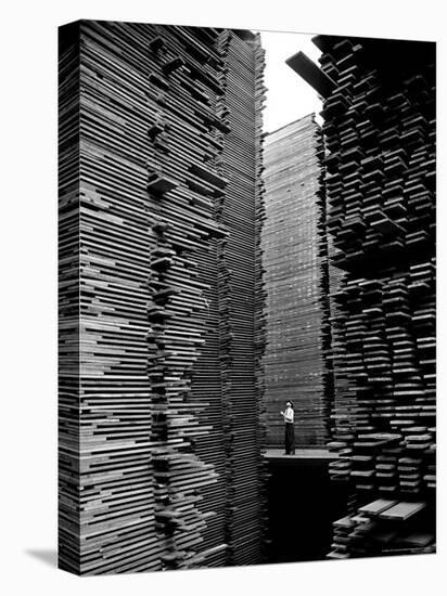 Man Standing in the Lumberyard of Seattle Cedar Lumber Manufacturing-Alfred Eisenstaedt-Premier Image Canvas