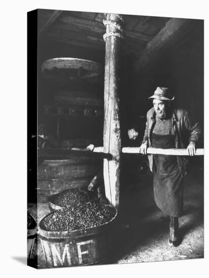 Man Using Old Wine Press at Vaux En Beauiplais Vineyard-Carlo Bavagnoli-Premier Image Canvas