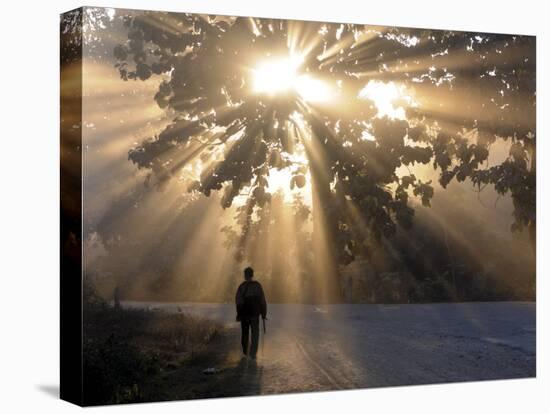 Man Walking Along a Street with Sun Rays Shining Through a Tree, Highlands, Myanmar-Michael Runkel-Premier Image Canvas