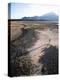 Man Walking on Dry Lake Bed with Llaima Volcano in Distance, Conguillio National Park, Chile-Aaron McCoy-Premier Image Canvas