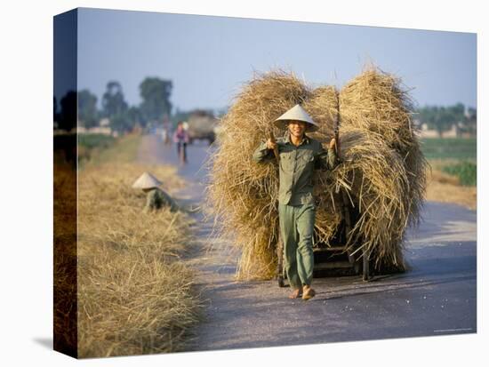 Man with Freshly Harvested Rice on Cart in the Ricefields of Bac Thai Province-Robert Francis-Premier Image Canvas