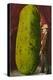 Man with Giant Watermelon-null-Stretched Canvas