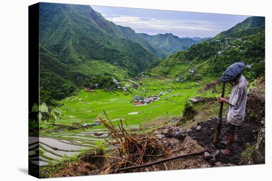 Man Working in the Batad Rice Terraces, Part of the UNESCO World Heritage Site of Banaue, Luzon-Michael Runkel-Premier Image Canvas