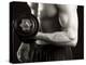 Man Working Out with Hand Wieghts, New York, New York, USA-Chris Trotman-Premier Image Canvas